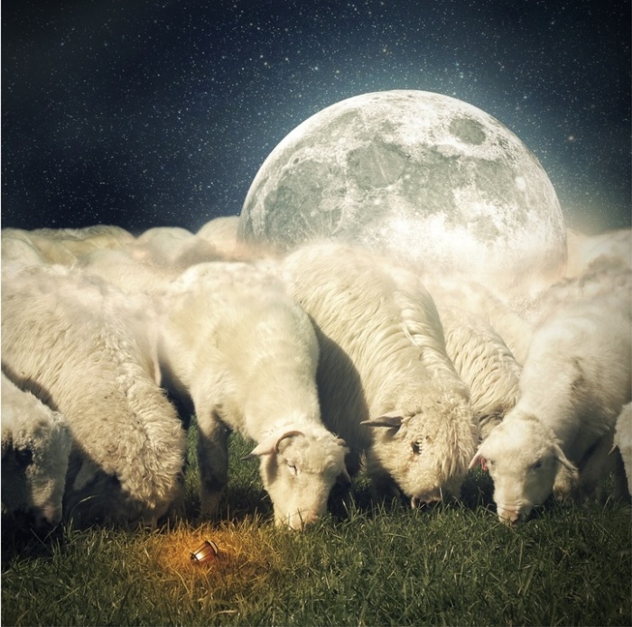 Лунные овцы. Автор: Even Liu.