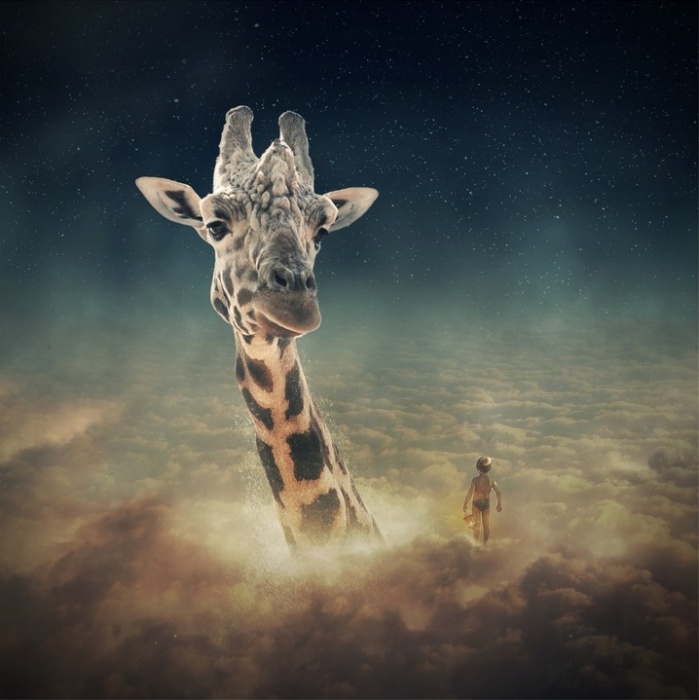 Небесный жираф. Автор: Even Liu.