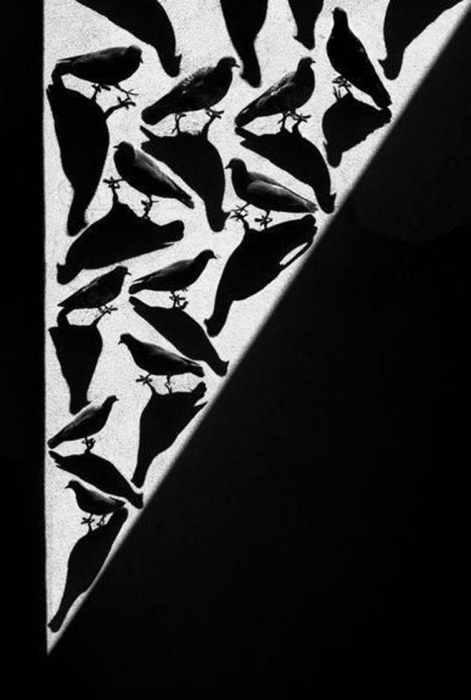 Тёмный сюрреализм.  Работы российского фотографа Алексея Меньшикова (Alexey Menschikov).