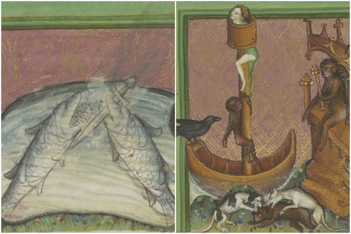 Слева направо: Клыкач и рыба-меч. \ Обезьяна игнорирует советы ворона и лисы.