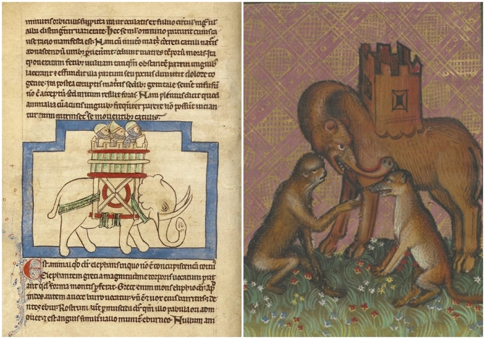 Слева направо: Слон, около 1250-1260 годов. \ Обезьяна с лисой и слон без бивней.