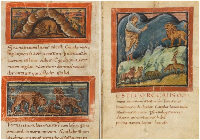 Две страницы из Physiologus Bernensis, ок. 830 года.