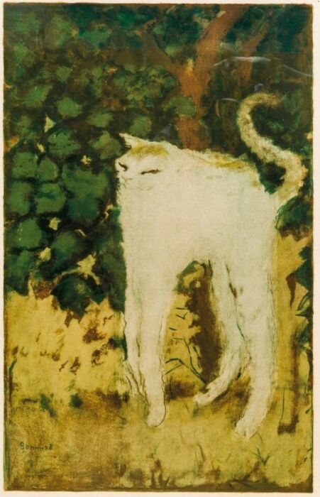 Пьер Боннар – Белый кот. \ Фото: google.com.