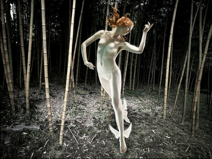 Таинственный бамбуковый лес. Сюрреалистические работы от Christophe Gilbert.