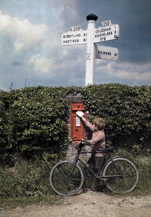Маленький мальчик бросает письмо в почтовый ящик в живой изгороди, Сассекс.