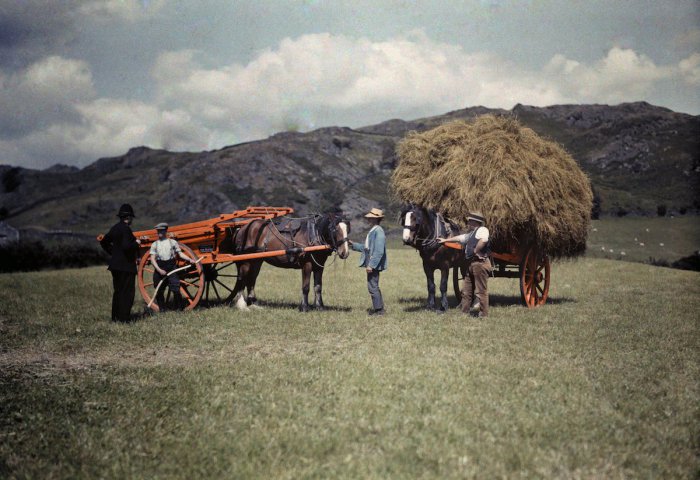 Полицейский и фермеры, собирающие сено в Ланкашире.
