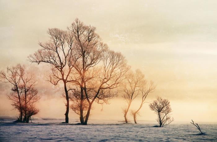 Зима в нежных тонах. Автор: Cornel Pufan.