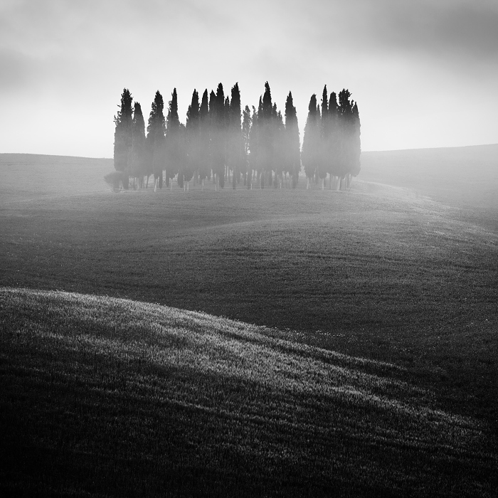 Прекрасная Тоскана. Автор: Daniel Rericha.