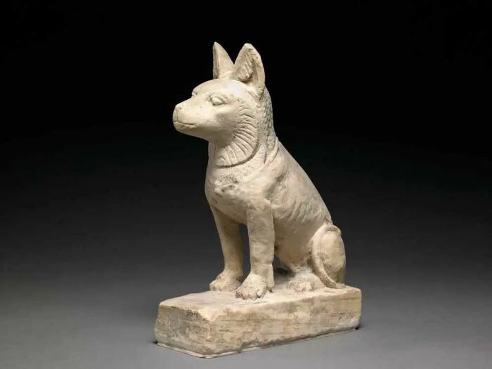 Известняковый шакал или собака на постаменте, в ошейнике с подвеской, первый век до н.э. – второй век н.э. \ Фото: bing.com.