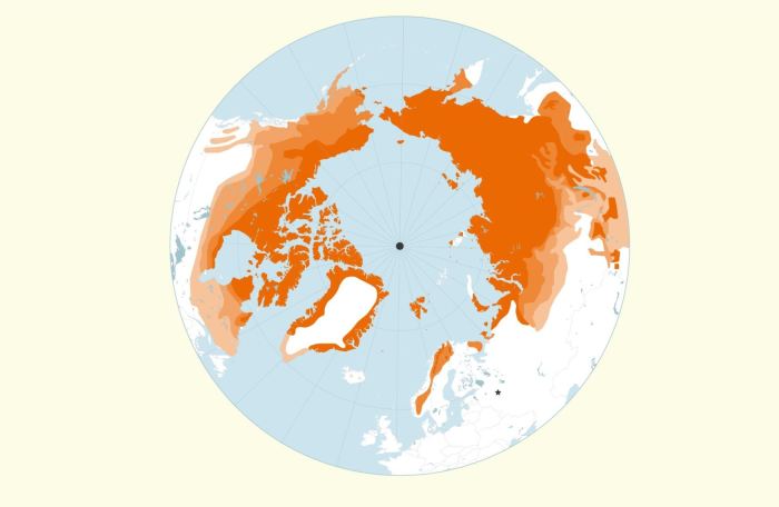 Вечная мерзлота (изображённая оранжевым цветом) в изобилии встречается в Северном полушарии. \ Фото: rferl.org.