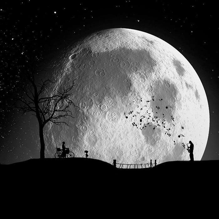 Серенада под луной. Автор: Hadi Malijani.