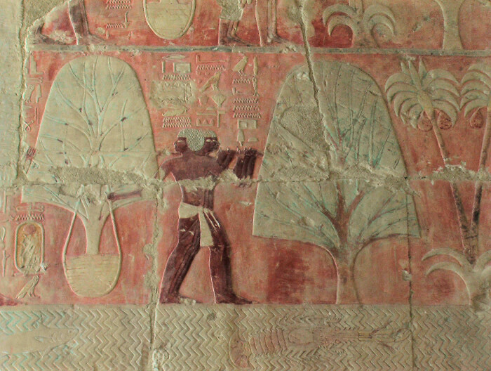 Раскрашенный рельеф из погребального храма Хатшепсут, показывающий экспедицию в Пунт. \ Фото: flickr.com.