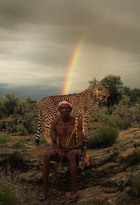 Гепард Айко, не вызывает никакого страха у охотника. Автор фото: Jack Somerville.