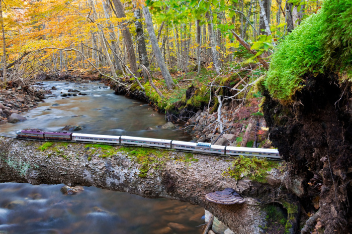 Осенний Лес, Новая Шотландия. Автор: Jeff Friesen.