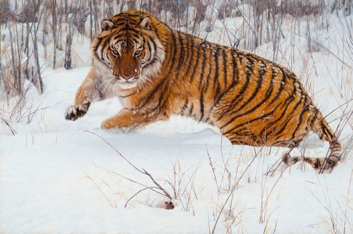 Тигр и мышонок. Автор: John Banovich.
