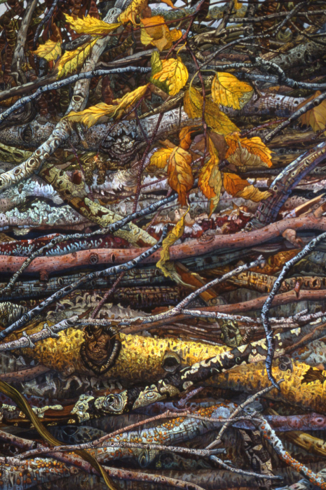 Веточка золотистых листьев. Автор: Judy Garfin.