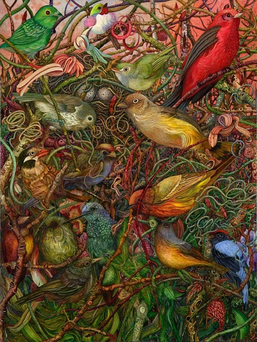 Райские птички. Автор: Judy Garfin.