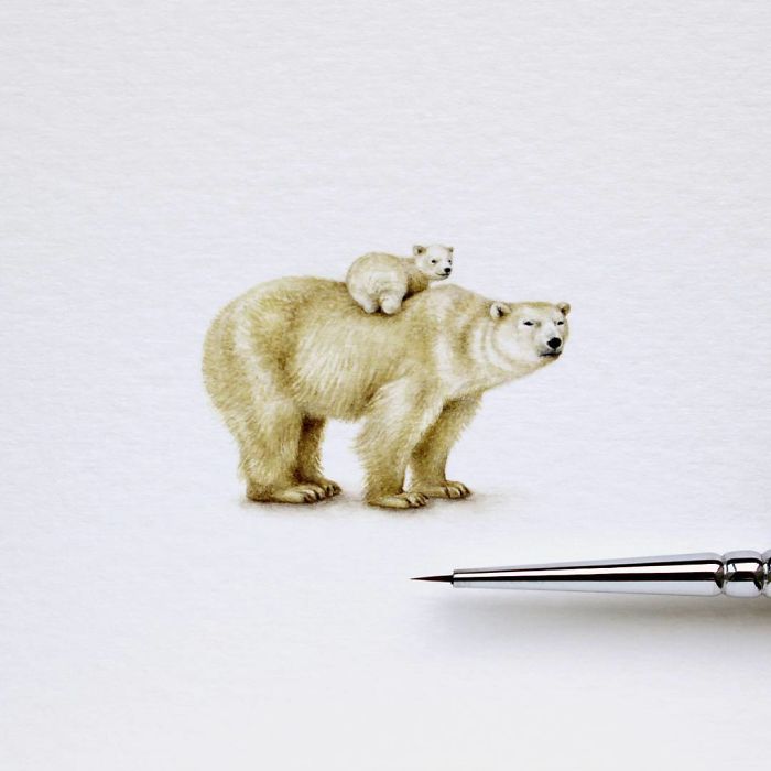 Белые медведи. Автор: Julia Las.