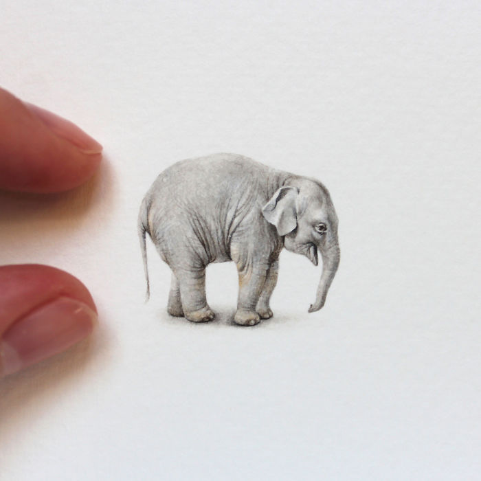 Слон. Автор: Julia Las.