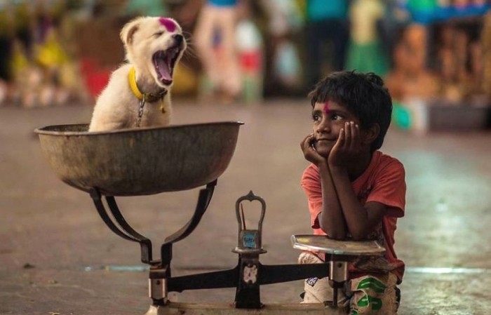 Трогательные снимки детей и животных от фотографов со всего мира. 