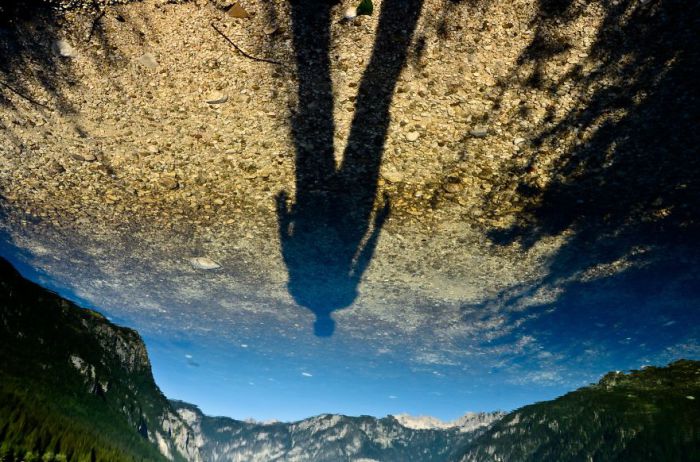 Отражение. Озеро Бохинь. Словения.