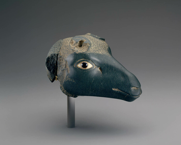 Голова антилопы, династия 27, 525-404 до н. э. \ Фото: twitter.com.
