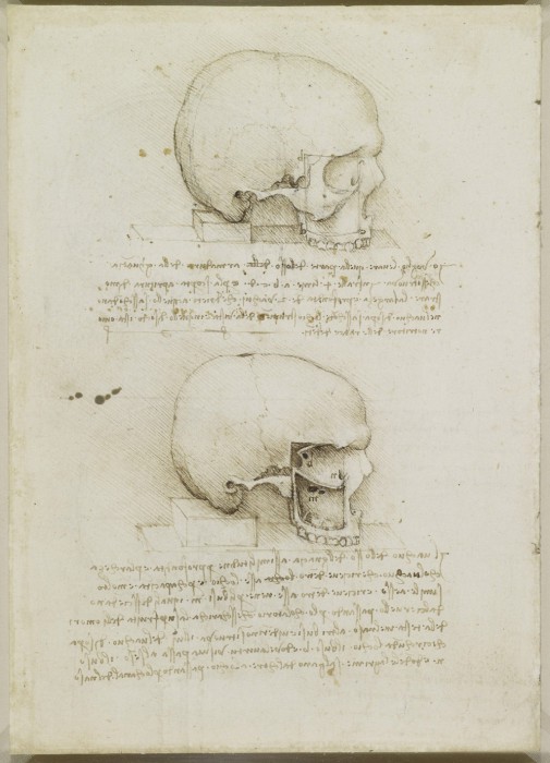 Анатомические эскизы, сопровождаемые подробными записями.  Леонардо да Винчи.