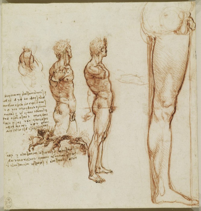 Научные труды гения. Анатомические рисунки Леонардо да Винчи.