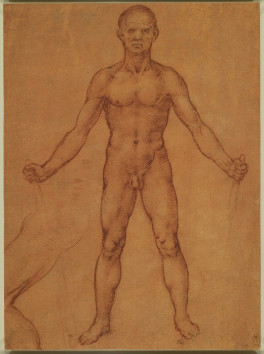 Анатомические пристрастия Леонардо да Винчи.