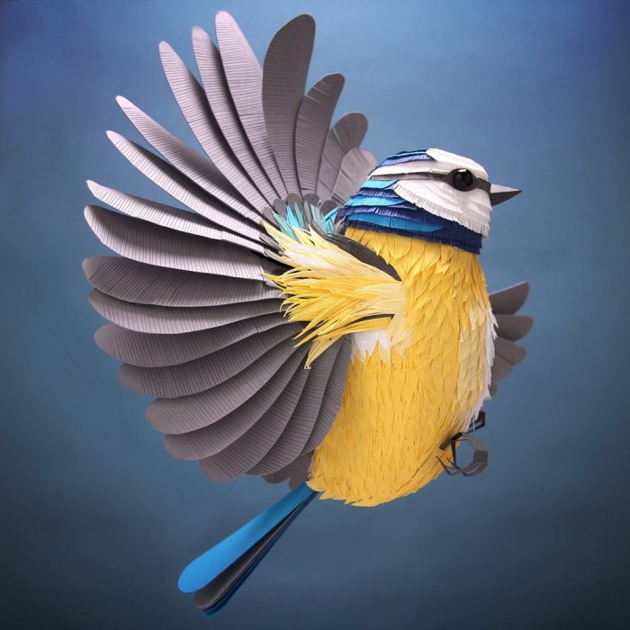 Птица-синица. Автор: Lisa Lloyd.