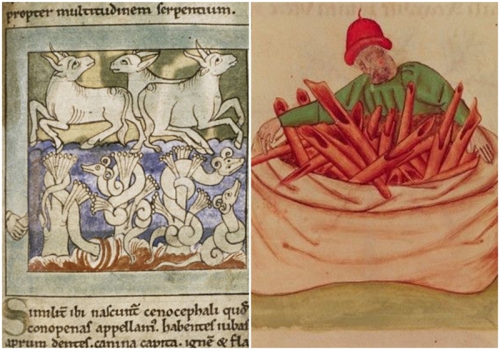 Слева направо: Змеи обвиваются вокруг перечных деревьев иллюстрация из Чудес Востока, 1130 год. \ Продавец корицы 1400-х годов.