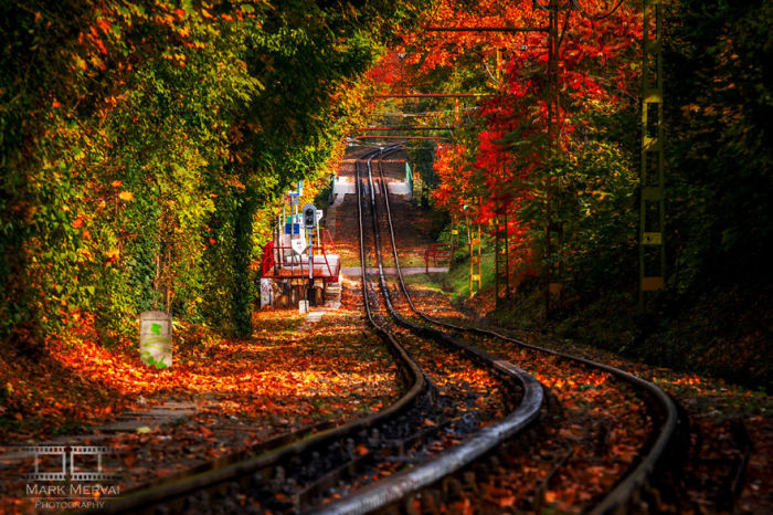 Дорога, ведущая в осень. Автор: Mark Mervai.
