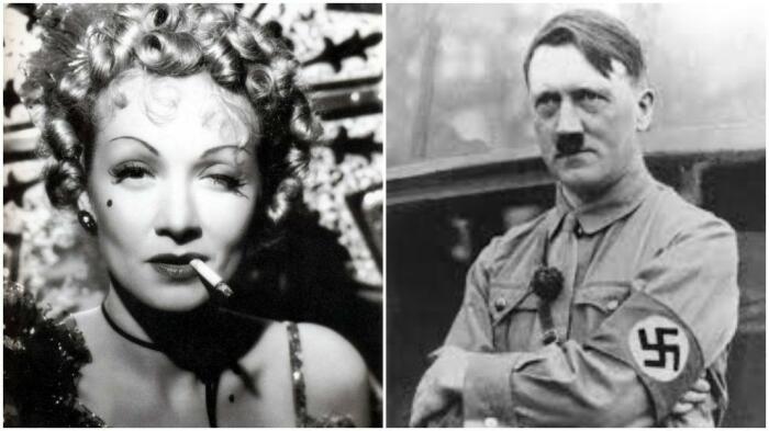 Надуманный план Марлен Дитрих убить Гитлера. \ Фото: lavanguardia.com.