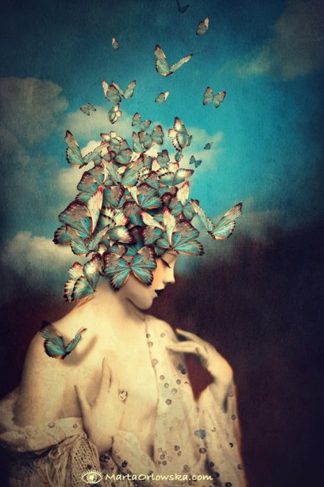 День голубой бабочки. Автор: Marta Orlowska.