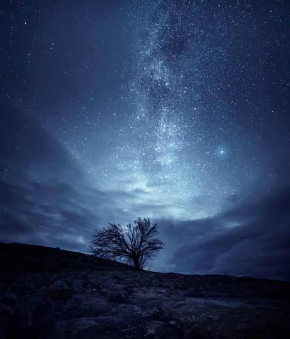 Галактическое дерево. Автор: Oscar Keserci.