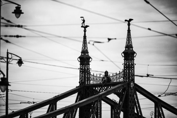 Мост Свободы, Будапешт. Автор фото: Питер Калло (Peter Callo).