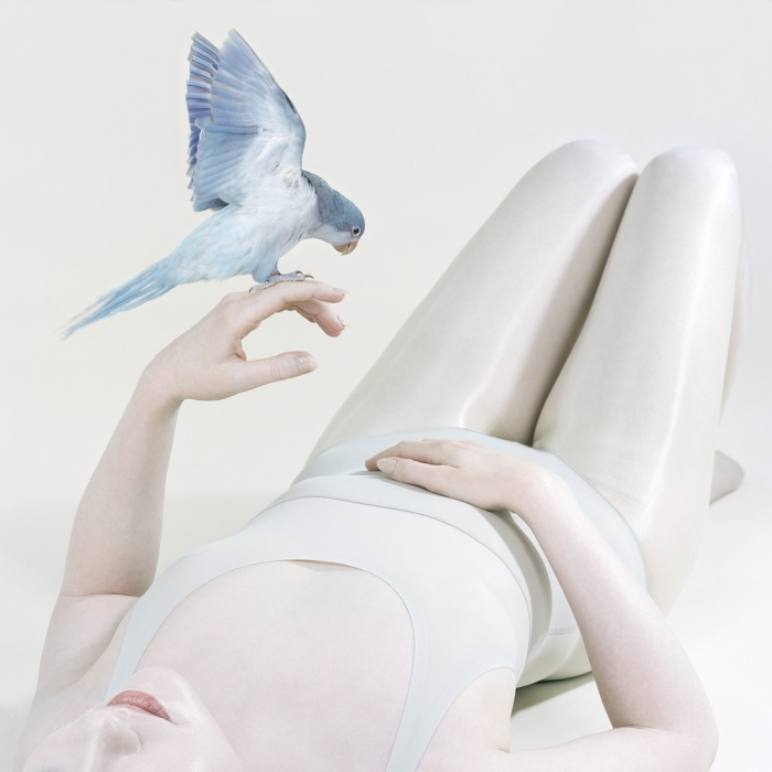 Синяя птица, 2018 год. Автор: Petrina Hicks.