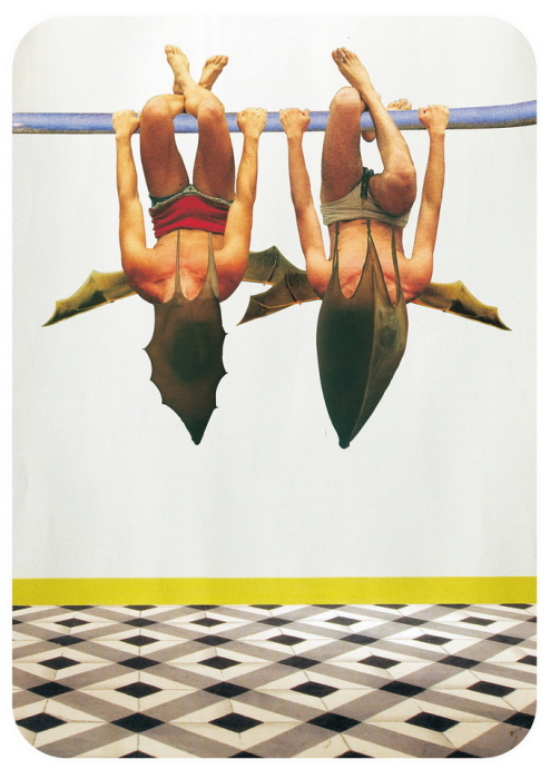 Летучие мыши. Автор: Raintree 1969.