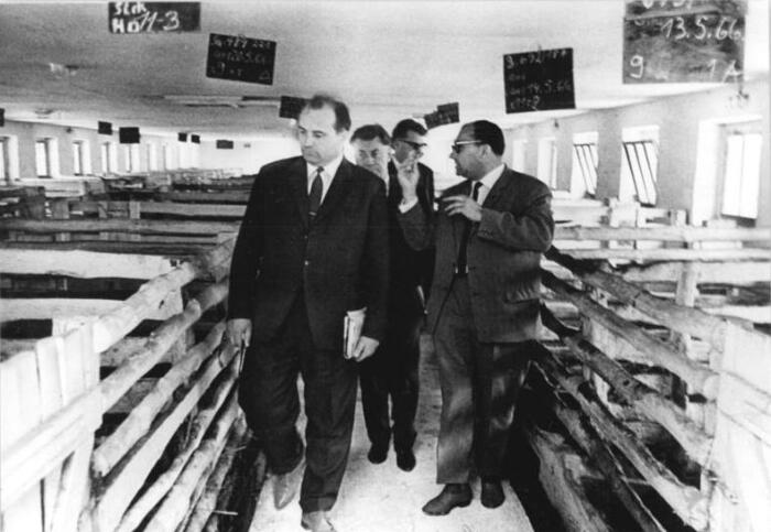 Горбачёв посещает свиноводческое хозяйство в ГДР, 1966 год. \ Фото: wikipedia.org.