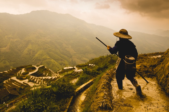 Позднее утро, рисовые террасы Драконий хребет в Луншэн, Китай. Автор фото: Scott Gable.