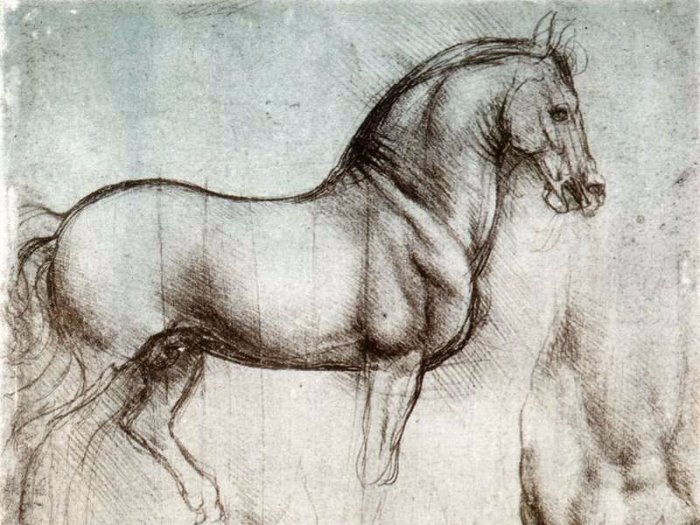 Леонардо да Винчи: Рисунок лошади. Фото: thestrip.ru.