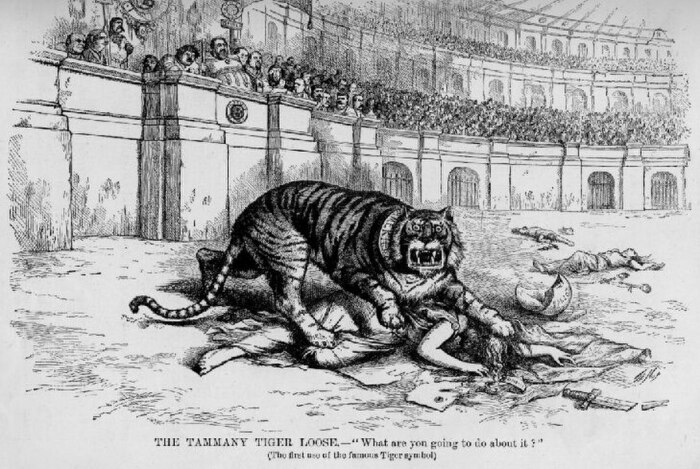 Тамманийский тигр, Томас Наст. \ Фото: historydaily.org.