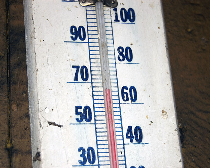 Самая высокая температура, когда-либо зафиксированная в Антарктиде, составила 63,5 °F (17,5 °C).