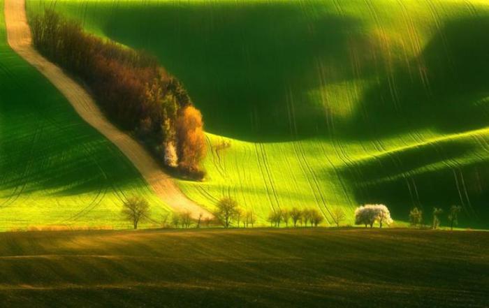 Зелёные ландшафты Моравии.