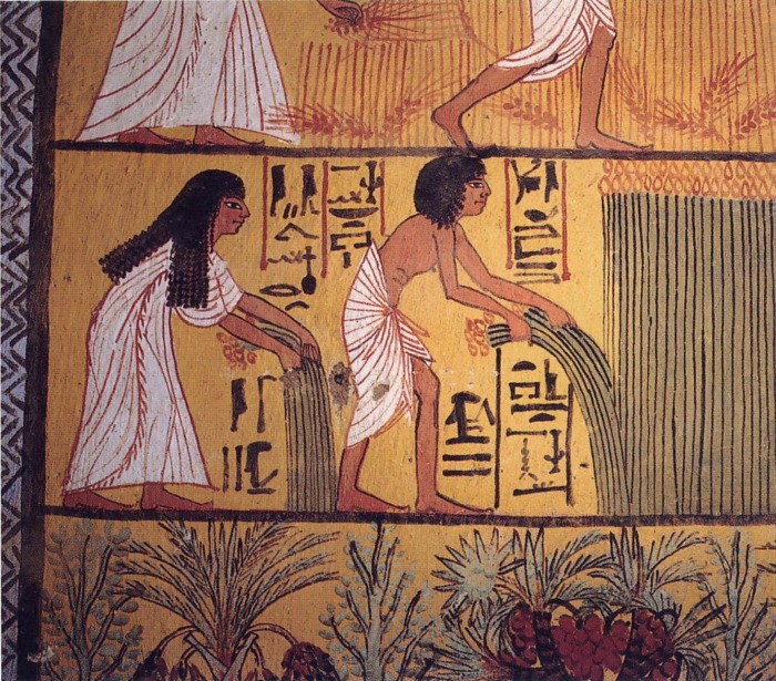 Древние египтяне использовали ароматные масла, чтобы избавиться от запаха пота (на рисунке изображена пара, собирающая папирус). \ Фото: haaretz.com.
