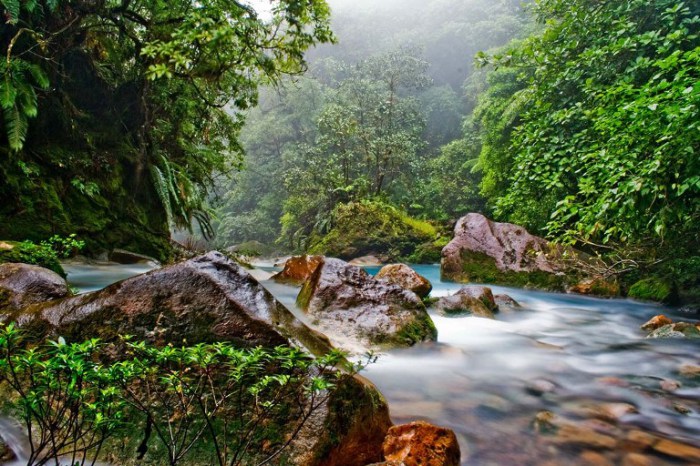 Невероятно красивая природа. Коста-Рика.