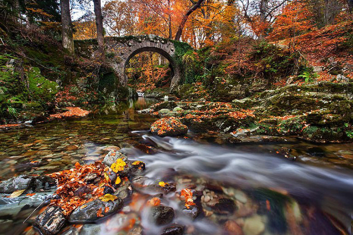 Мост. Лесной парк Толлимор, графство Антрим, Великобритания.