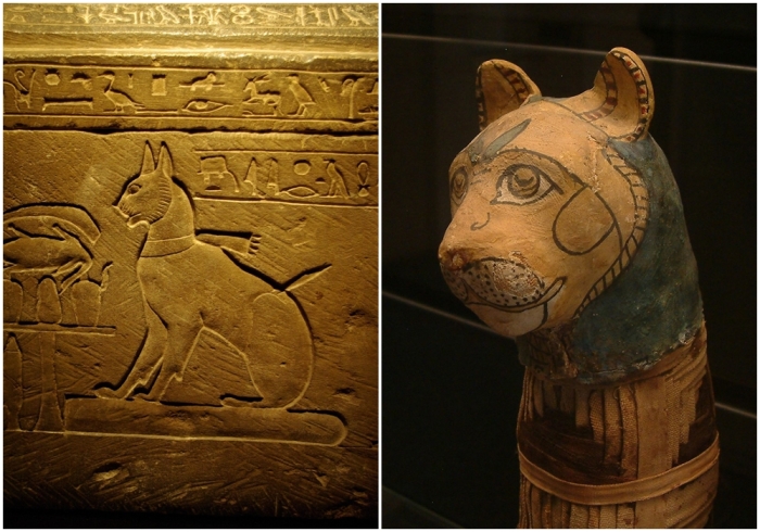 Слева направо: Саркофаг кота принца Тутмоса. \ Кошачья мумия выставленная в отделе египетских древностей Лувра.