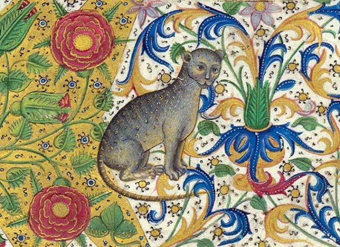 Изображение кошки в средневековых иллюстрациях. \ Фото: i.pinimg.com.