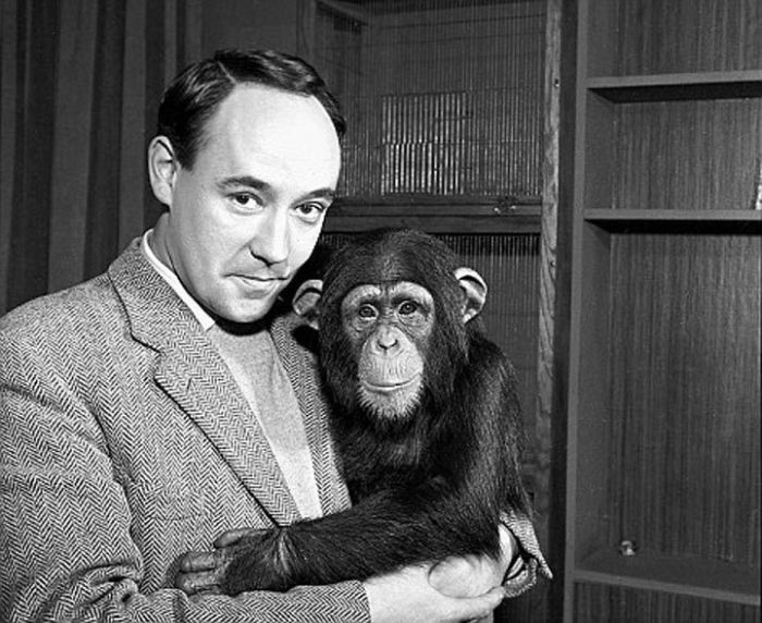 Дезмонд и его шимпанзе. \ Фото: google.com.